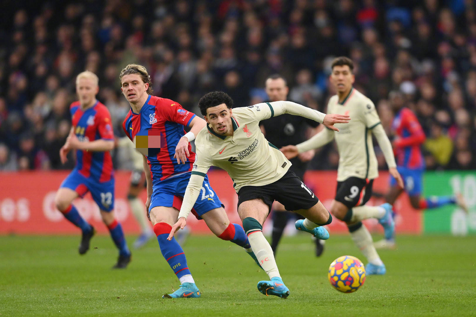 佩尼亚作为 佩尼亚作为