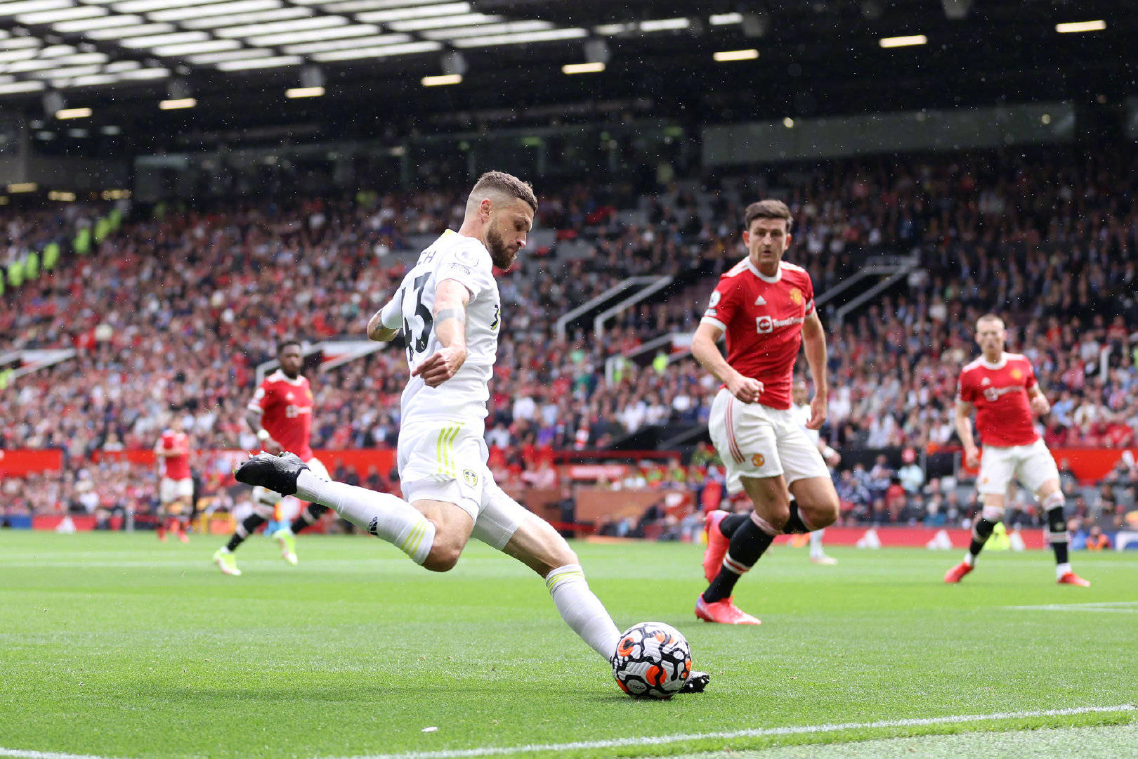 以其丰富的 以其丰富的